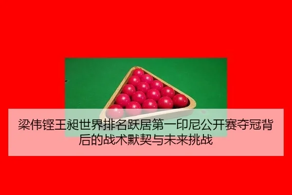 liang-wei-keng-wang-chang-shi-jie-pai-ming-yue-ju-di-yi-yin-ni-gong-kai-sai-duo-guan-bei-hou-de-zhan-shu-mo-qi-yu-wei-2-358.jpg