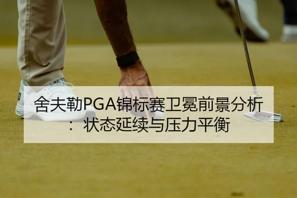 she-fu-lei-jin-biao-sai-wei-mian-qian-jing-fen-xi-zhuang-tai-yan-xu-yu-ya-li-ping-heng-2-444.jpg